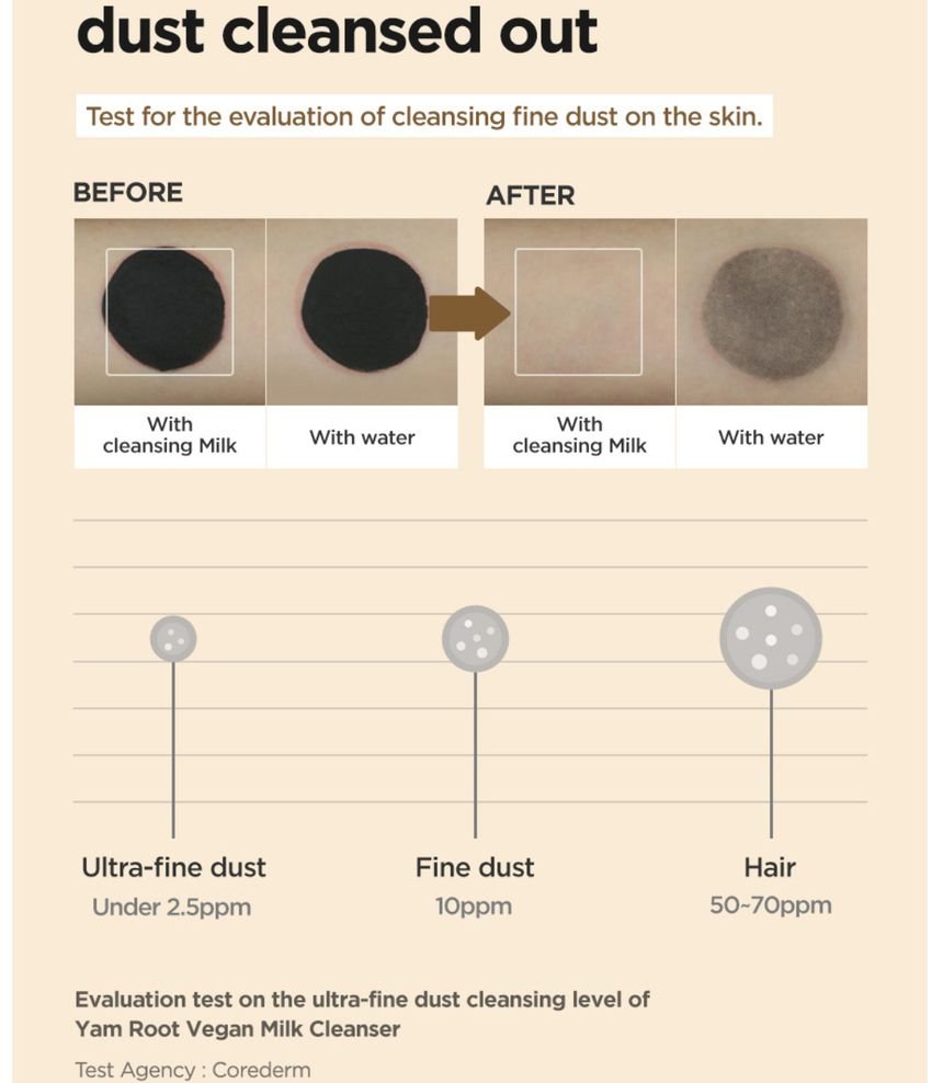 Isntree - Yam Root Vegan Milk Cleanser-5