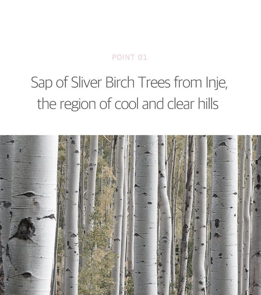 ROUND LAB - Birch Juice Moisturizing Tone Up Sunscreen-3