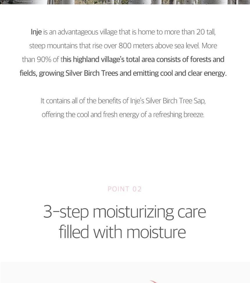 ROUND LAB - Birch Juice Moisturizing Tone Up Sunscreen-4