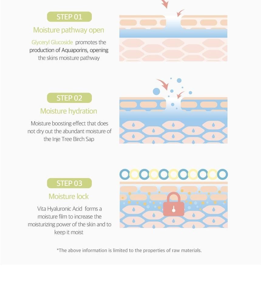 ROUND LAB - Birch Juice Moisturizing Mild Up Sunscreen-5