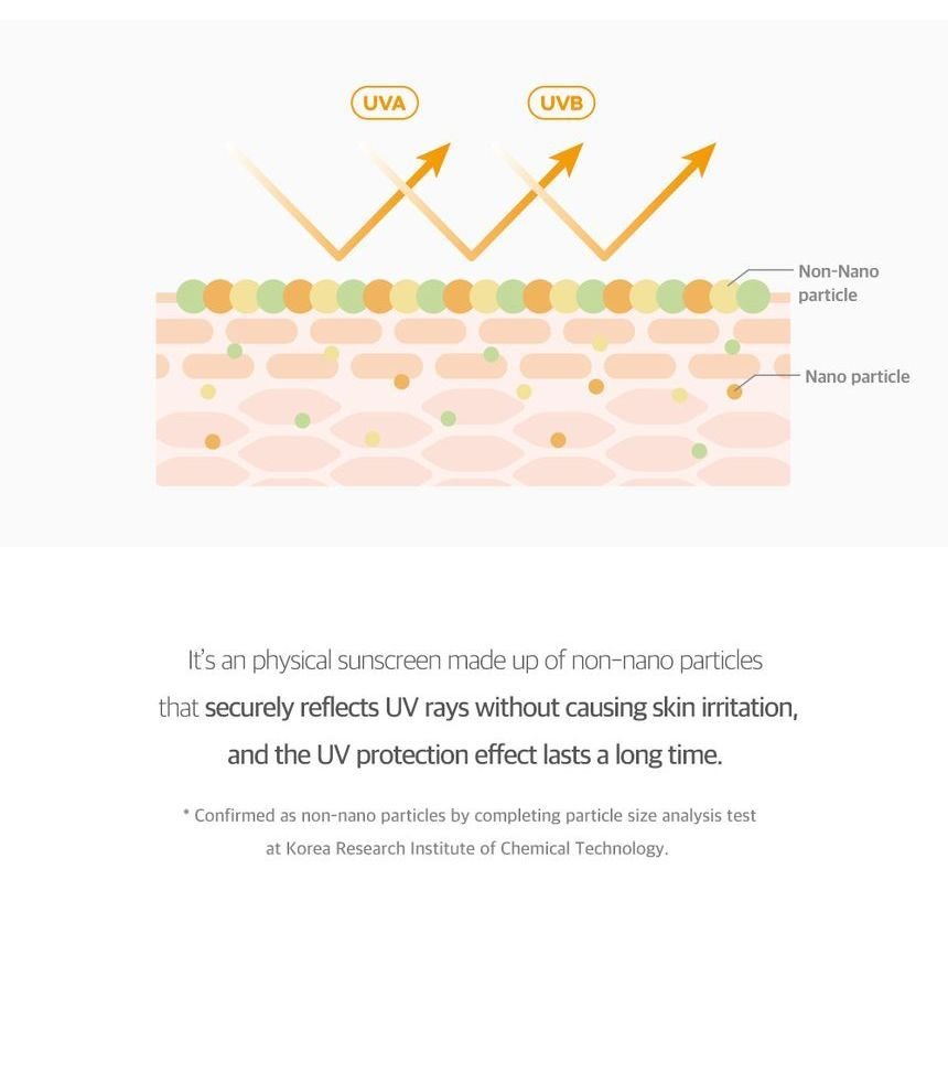 ROUND LAB - Birch Juice Moisturizing Mild Up Sunscreen-9