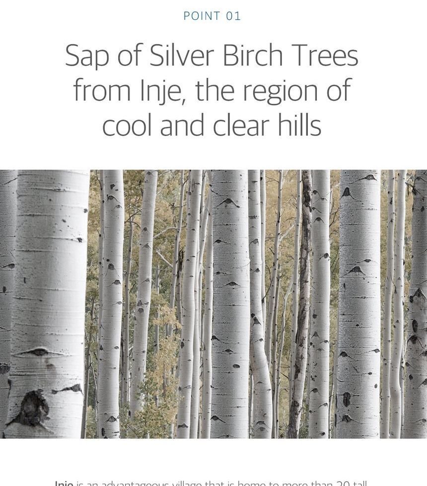 ROUND LAB - Birch Juice Moisturizing Serum-8