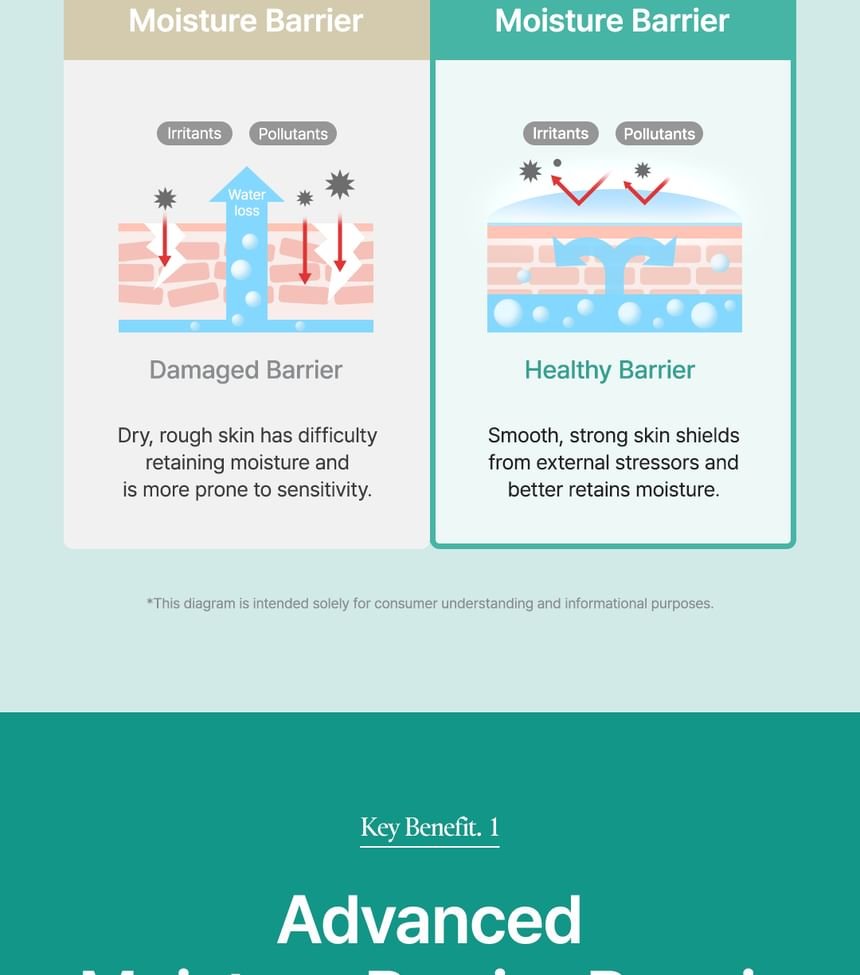 Purito SEOUL - Mighty Bamboo Panthenol Serum-5