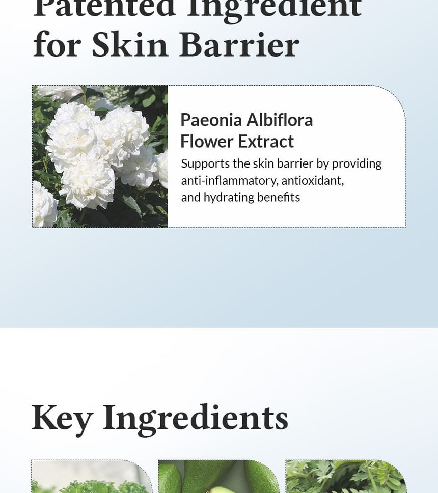 Dr. Althea - 147 Barrier Cream - Image 4