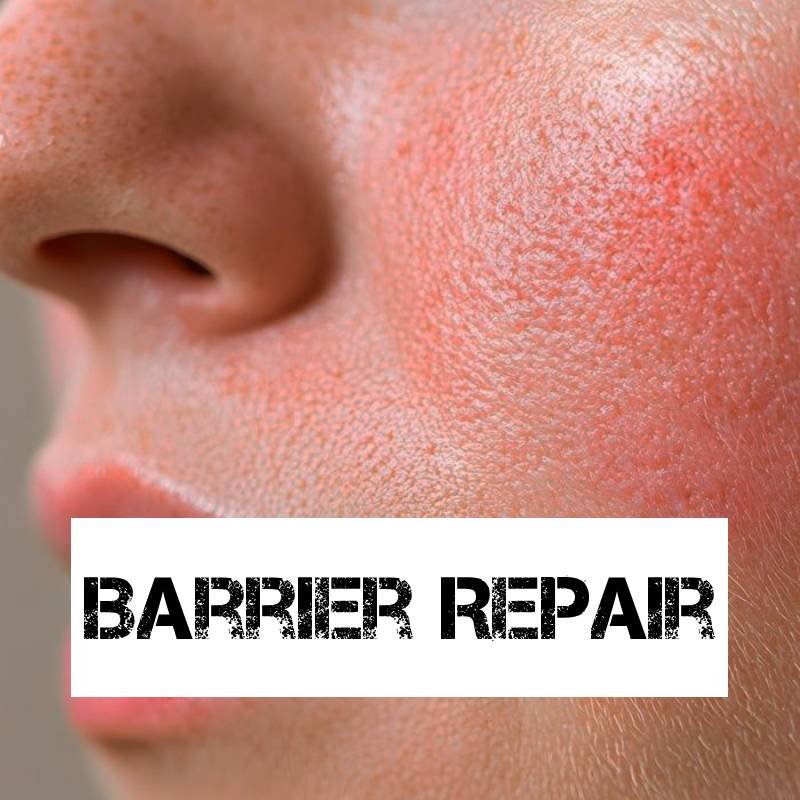 barrier repair
